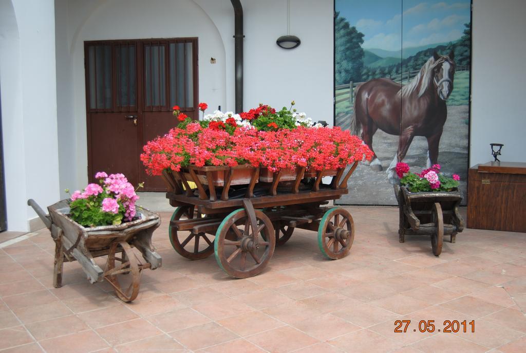 La Pioppa Agriturismo Sacile Luaran gambar